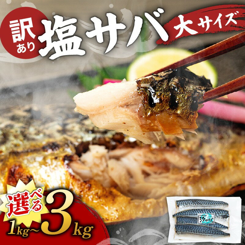 【ふるさと納税】 選べる容量 訳あり 塩サバ ノルウェー産 フィレ 500g~3kg サバ 塩サバ さばフィレ さば 魚貝類 魚介 海の幸 お魚 海鮮 夕食 晩ごはん 夕ご飯 おかず 惣菜 お手軽 簡単 簡易包装 訳あり 規格外 大容量 冷凍 使い勝手抜群 愛知 南知多