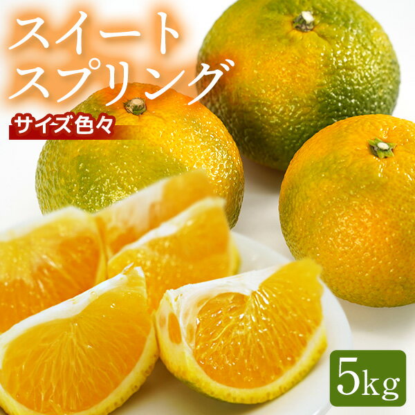 【ふるさと納税】鹿児島県産スイートスプリング 5kg 訳あり サイズ混合 鹿児島ふるさとアイショップ 南九州 幻の柑橘 希少種 上田温州と八朔の交配