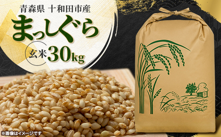 【令和7年産】青森県産まっしぐら30kg(玄米)【配送不可地域：離島・沖縄県】【1664256】