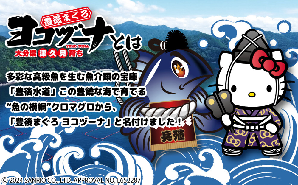 マグロ まるごと1本 約60kg 豊後まぐろヨコヅーナ 大分県津久見市産 マグロ まぐろ 鮪 丸ごと 赤身 大トロ 中トロ トロ 刺身【tsu0003018】