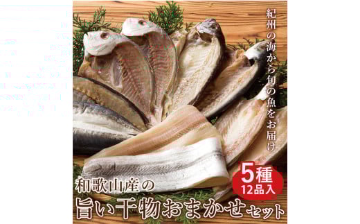 和歌山産 干物詰め合わせセット 5種12品入り【無添加・無着色】【mtgn106】