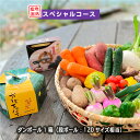 【ふるさと納税】 美里 の 特産品 詰め合わせ スペシャルコース 季節の野菜 や 特産品をお届け 熊本 美里町 や 道の駅 佐俣の湯