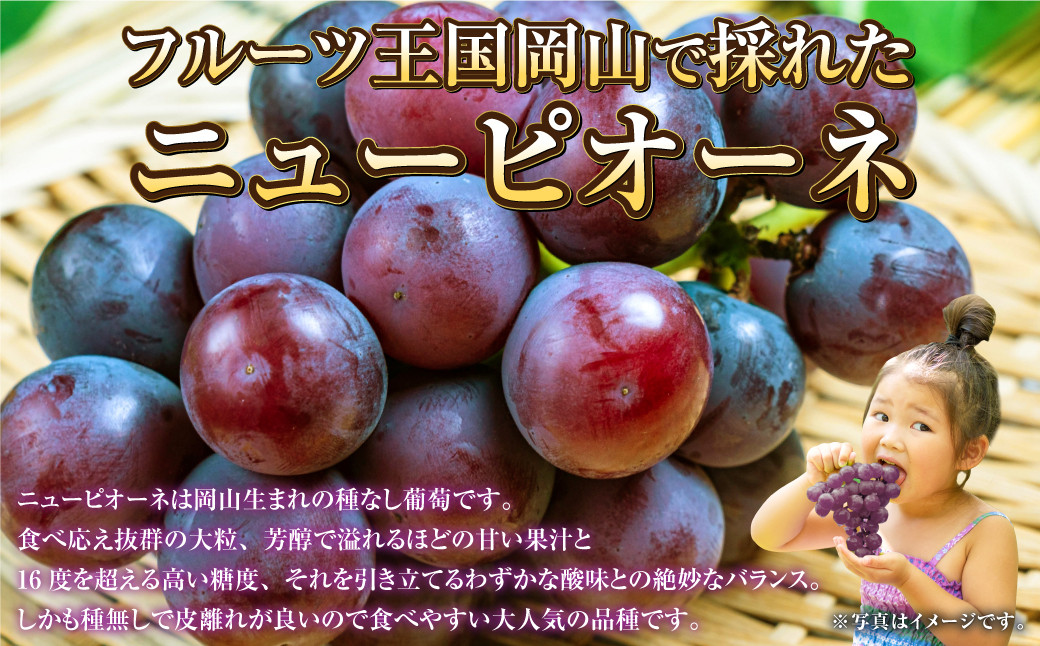岡山県産 ニューピオーネ 約600g（1房）
