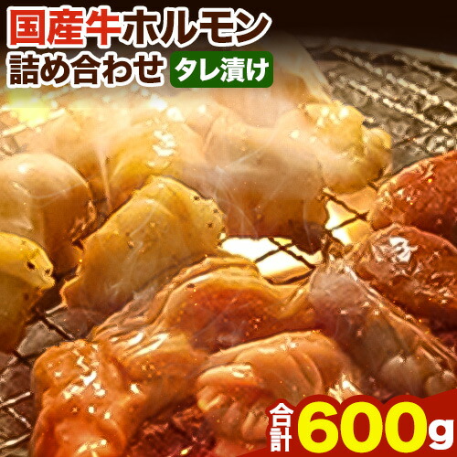 ホルモン 国産牛 ホルモン 詰め合わせ 約600g 萬野総本店《30日以内に出荷予定(土日祝除く)》大阪府 羽曳野市 牛肉 国産牛 小腸 アカセン アカセンマイ ミノ ココロ 心臓 焼肉 詰め合わせ セット【配送不可地域あり】---habikino_msh_2_1---