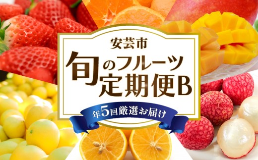 【 5回 定期便 】フルーツ定期便 B マンゴー ライチ 小夏 文旦 土佐文旦 果物 定期便 果物定期便 旬 季節 期間限定 数量限定 苺 フルーツ ギフト 柑橘 贈答 ギフト 人気 おすすめ 産地直送 旬の果物セット 朝採れ 厳選 家庭用 訳あり わけあり 贈り物 お祝い お中元 お歳暮 ビタミン フレッシュ 季節の味覚 お取り寄せフルーツ 果物セット 食べ比べ 希少品種 安芸市 高知県