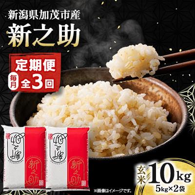 ふるさと納税 加茂市 【発送月固定定期便】新之助 玄米10kg　4月上旬より順次発送全3回