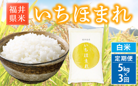 【新米・先行予約】ブランド米 定期便≪3ヶ月連続お届け≫いちほまれ 5kg × 3回 令和6年 福井県産【白米】【お米 計15キロ】【2024年12月より順次発送】 [e30-d008]