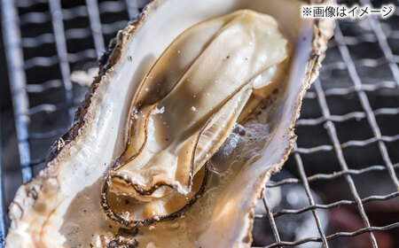 【2026年1月中旬より順次発送】 豊前海 一粒かき 約3kg 吉富町/南水産[BGBD002]