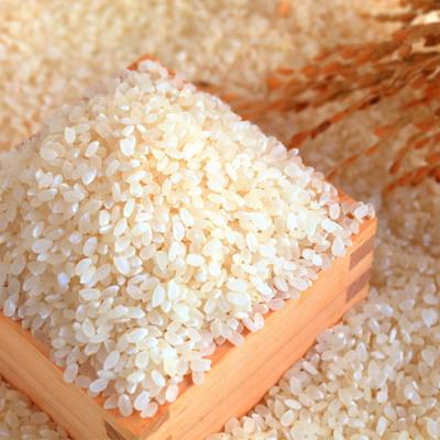 ふるさと納税 三条市 コシヒカリ 5kg 新潟県三条市下田産こしひかり 令和7年産 【010S180】 |  | 01