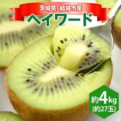 ふるさと納税 結城市 【2025年12月発送予定】 石井果樹園のキウイ ヘイワード 約4kg 約27玉