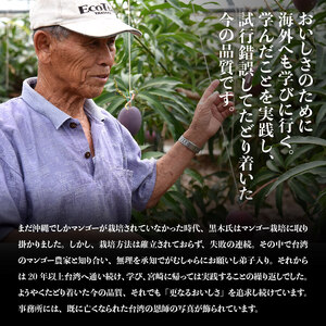 【令和8年発送】宮崎マンゴー 太陽の子３玉（1kg以上） 【 果物 くだもの フルーツ 宮崎マンゴー 】
