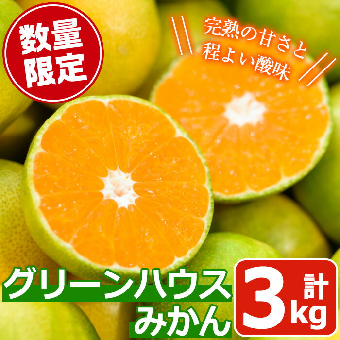 【ふるさと納税】期間限定！鹿児島県産 グリーンハウスみかん(計3kg) みかん ミカン 蜜柑 3kg 柑橘 果物 フルーツ 小ぶり 青果 果実 鹿児島 ギフト 贈答 プレゼント【黒川農園】