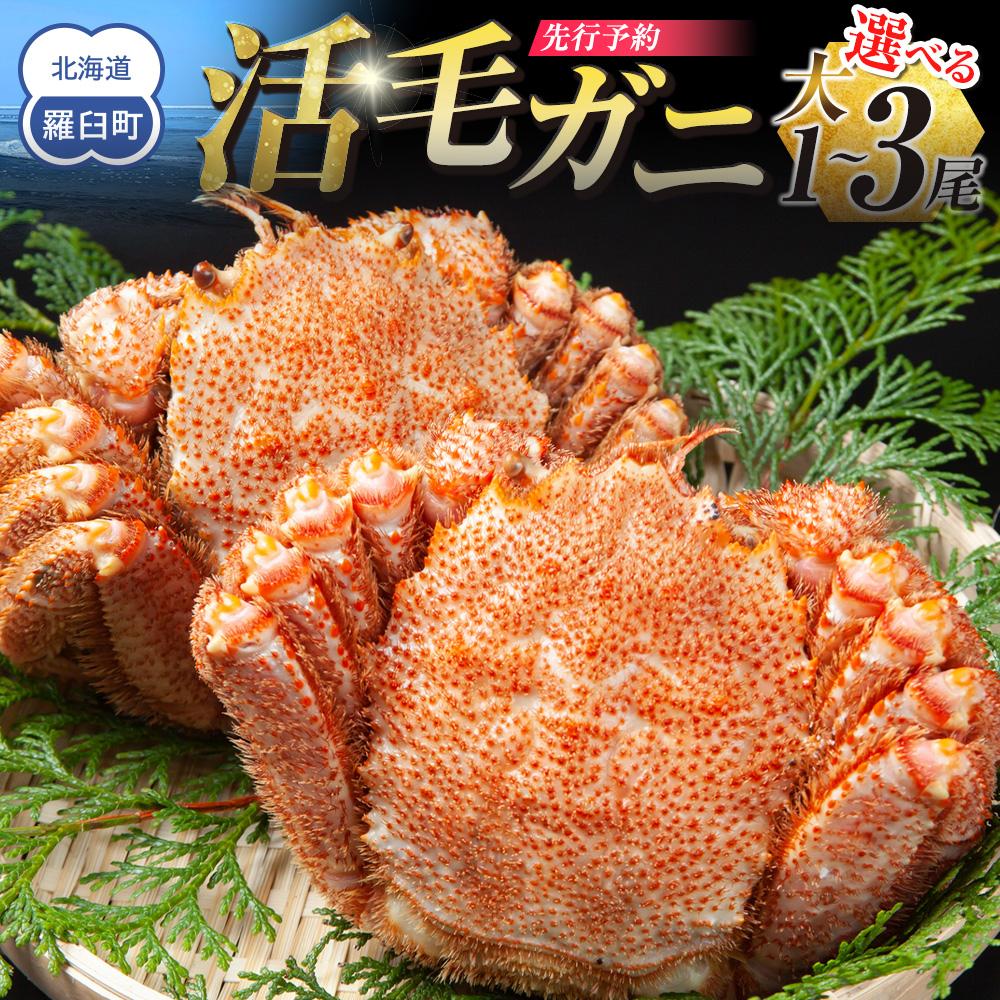 【ふるさと納税】 【先行予約/2026年4月発送開始】活毛ガニ　大1尾～大3尾（600g～650g前後） | 蟹 魚介類 水産 食品 人気 おすすめ 送料無料