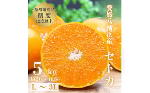 ＜みかんの大トロ＞糖度12.0以上 酸1.4以下 糖酸選別品 愛媛セトカ 5kg＜G20-65＞【1620326】