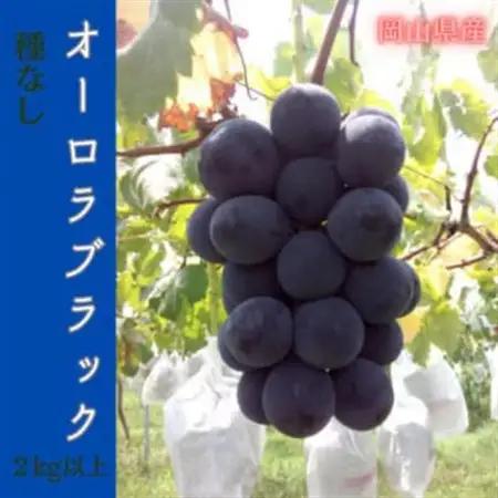 【2026年先行予約】岡山のぶどう(オーロラブラック)2kg(4～5房)【配送不可地域：離島】【1700846】