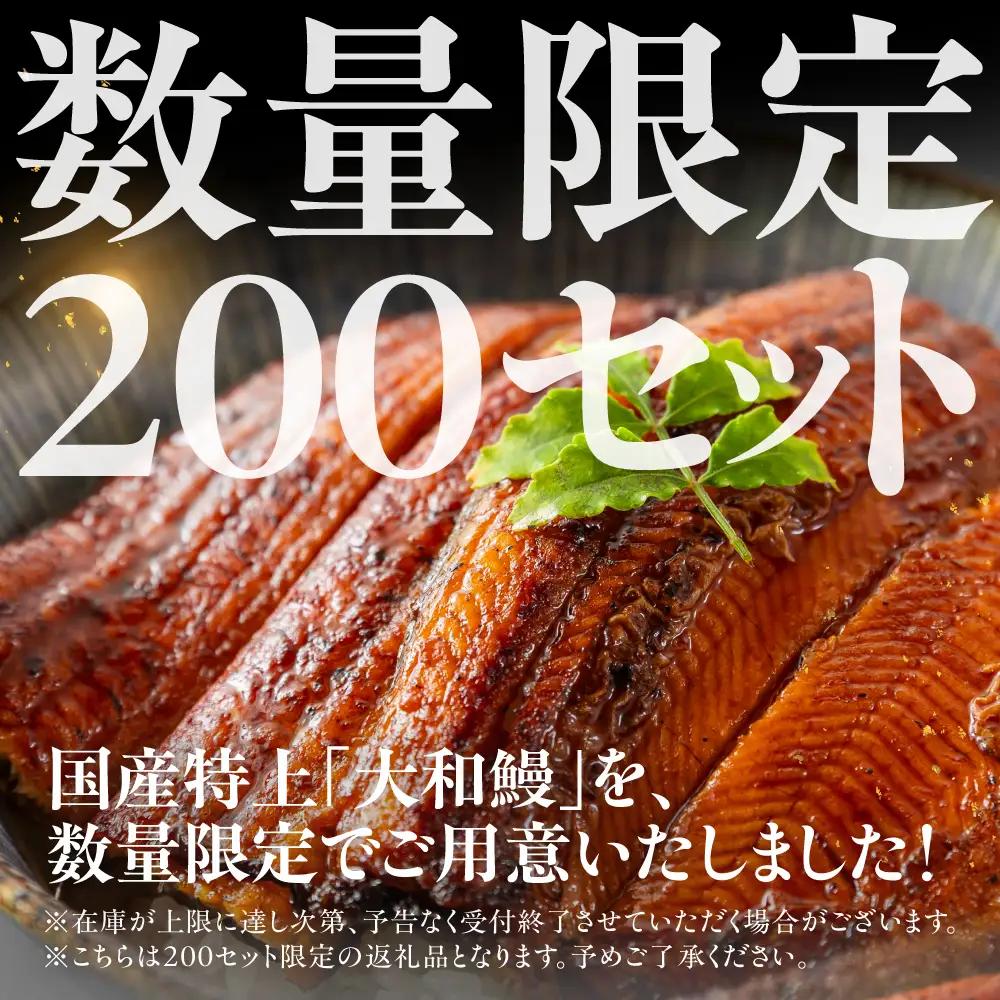 ※数量限定※ 国産特上 大和鰻 2尾（約312g~366g） 国産鰻 選べる 鰻 うなぎ unagi ウナギ 蒲焼 長蒲焼 国産うなぎ 鰻蒲焼 上 特上 贈答 ギフト 豊橋うなぎ 土用の丑の日 カネナ