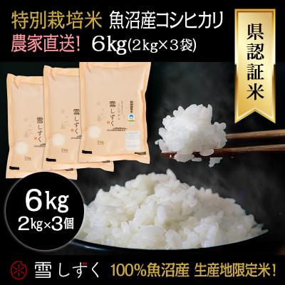 ふるさと納税 十日町市 令和7年産!県認証特別栽培魚沼産コシヒカリ【農家直送!】 精米 6kg(2kg×3袋)