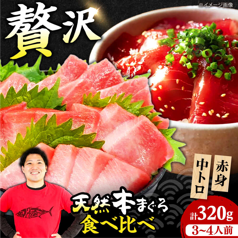 【ふるさと納税】極上！たね熟天然本まぐろ赤身＆中トロセット(320g 各160g) まぐろ マグロ 鮪 赤身 刺身 海鮮 魚介 魚介類 大阪府高槻市/本まぐろ直売所[AOCE002]