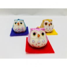 風水うんちくフクロウ3カラーセット (クリアケース付き)
