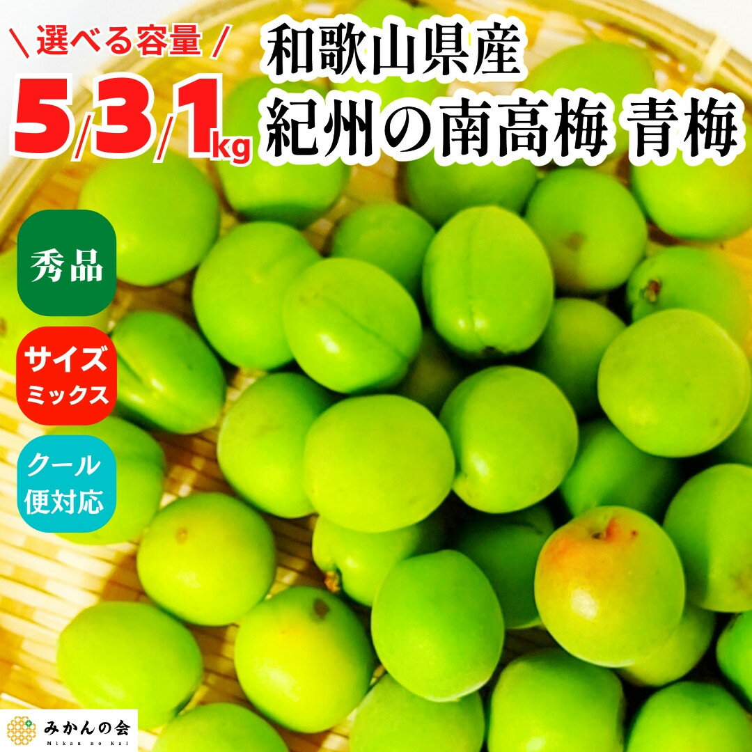 【ふるさと納税】［選べる容量］青梅 南高梅 約1～5kg 秀品 サイズミックス 和歌山県産 A品 梅酒作り用 梅ジュース作り用 | 梅 うめ 南高梅 完熟 生梅 秀品 和歌山県 梅酒用 梅干用 梅シロップ 梅ジャム 送料無料 お土産 取り寄せ