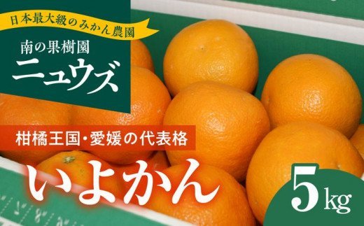 【先行予約受付中】産地直送！愛媛県産いよかん 5kg ※2025年1月上旬～2月下旬頃順次発送予定 ≪柑橘 みかん ギフト≫