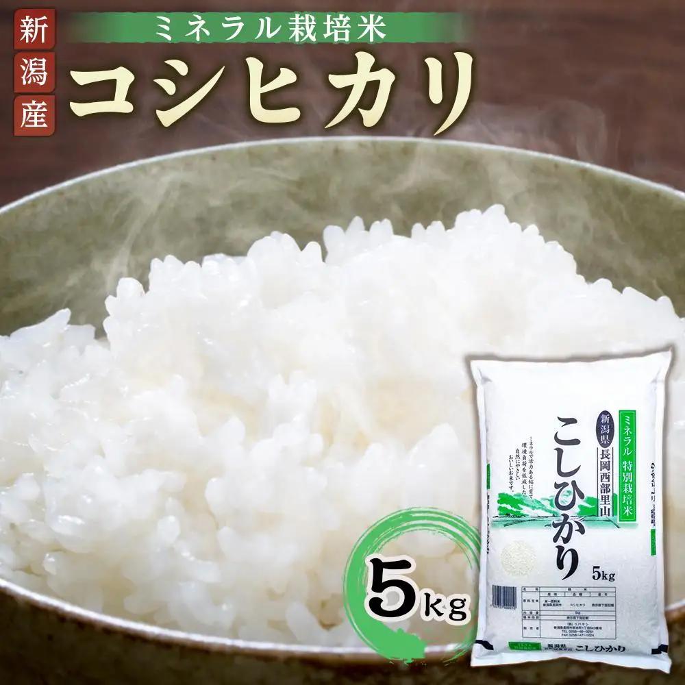 特別栽培米コシヒカリ（ミネラル栽培）5kg | 米　お米　新潟　新潟県 特別栽培米　こしひかり