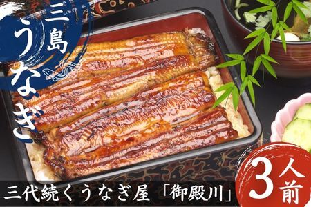 うなぎ 鰻 三島名物 蒲焼 蒲焼き  (真空パック) 3人前（1人前あたり120g～140g）【 鰻 ウナギ unagi 国産  蒲焼き かばやき パック 真空パック カット 冷蔵 うなぎの町三島で3代続く老舗 丑の日 父の日 静岡 静岡県 三島市 】