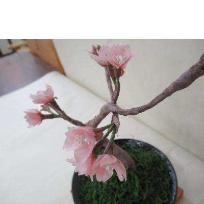 ふるさと納税 東秩父村 細川紙フラワー「桜(小)」 |  | 03