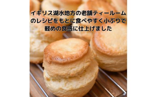 スコーン 6種 × 2個 セット 紅茶 専門店 ティー イソブチカンパニー すこーん suko-n