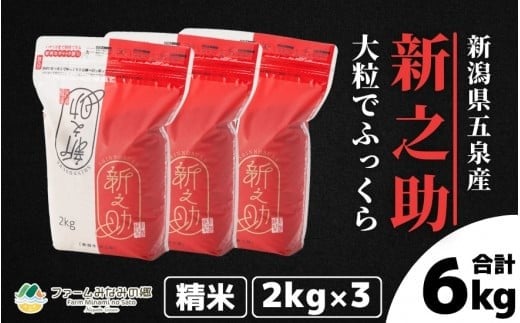 令和7年産 新之助 精米 6kg 新潟県 五泉市 ファームみなみの郷