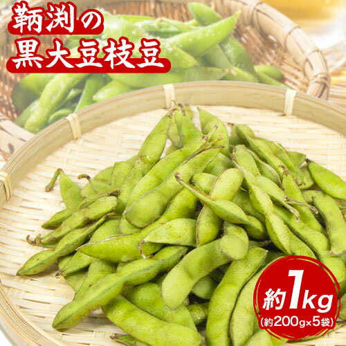 【ふるさと納税】和歌山県産鞆渕の黒大豆枝豆 約1kg(200g×5袋入り) 紀の川市厳選館《2025年10月上旬-11月上旬頃出荷》 紀の川市厳選館 和歌山県 紀の川市 豆 枝豆
