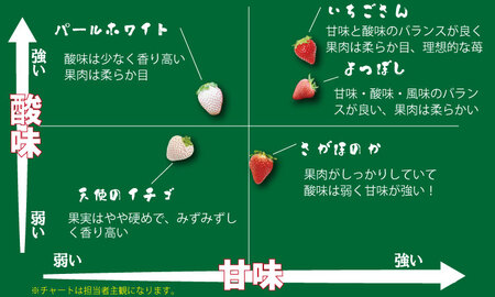 佐賀県産いちご 天使のいちご（白いちご）300gx2パックセット TM 農家 直送品 B175-004