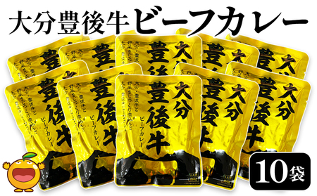 大分 豊後牛 ビーフ カレー 10袋 セット | カレー 津久見市