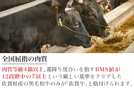 佐賀牛赤身ステーキ 900g 焼肉 ギフト 牛肉 ステーキ 鉄板焼き 冷凍 和牛 佐賀牛 牛肉 黒毛和牛 佐賀牛ステーキ 佐賀牛霜降り最高級佐賀牛