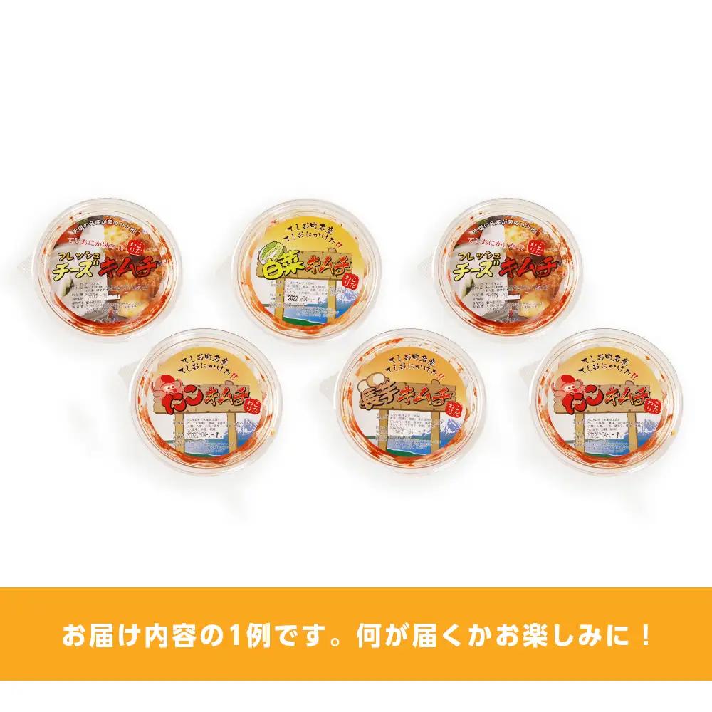 てしおキムチ工房・キムチおまかせランダム6個セット  ＜天塩の國＞