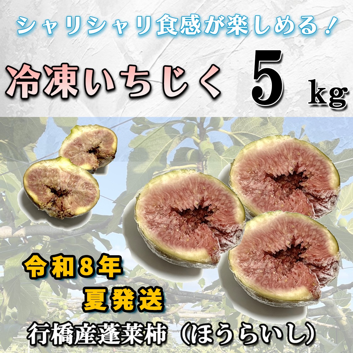 
            AO-013_【予約・令和７年夏発送】冷凍いちじく5kg
          