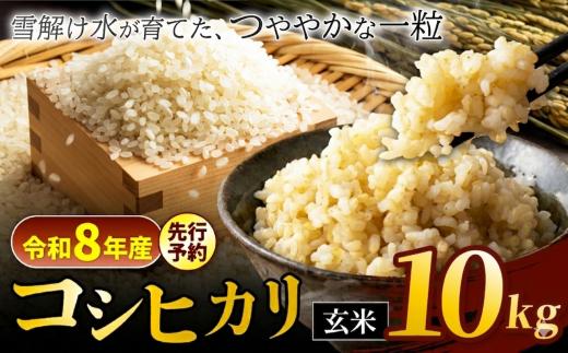 【令和8年産先行予約】コシヒカリ 玄米 10kg 信州安曇野松川村産 松川村認定農業者 北アルプス 雪解け水 | 米 こめ コメ お米 白米 玄米 コシヒカリ ライス 長野県 松川村 信州 送料無料 国産米 産地直送 農家直送 新米対応