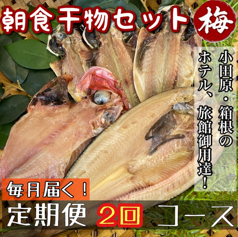 【毎月定期便2回】小田原、箱根の旅館、ホテル御用達！朝食干物セット 梅【 まぐろや 神奈川県小田原市 】 142069_DQ209