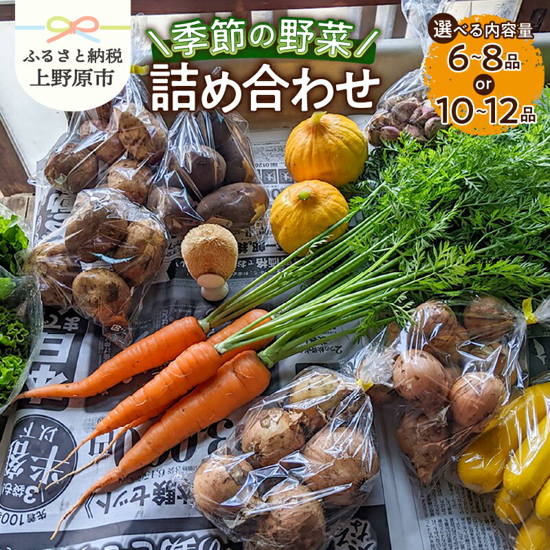 【ふるさと納税】 【関東甲信越エリア限定】＼季節限定／ 山梨県産 野菜詰め合わせ 季節の野菜 セット ミニサイズ ファミリー向け 新鮮 露地野菜 甘い 山梨 予約 旬 ジューシー お取り寄せ 人気 厳選 山梨県 上野原市 送料無料