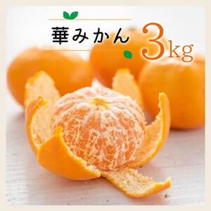 【2025年11月以降順次発送】華みかん3kg【A33-39】【1512259】