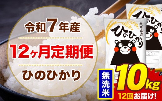 【12ヶ月定期便】令和7年産 無洗米 10kg 米 ひのひかり《お申込み翌月から出荷》熊本県 菊池市 国産 熊本県産 白米 精米 無洗米 送料無料 ヒノヒカリ こめ お米