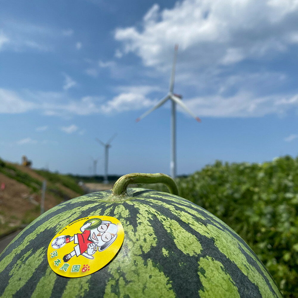 【ふるさと納税】1115.鳥取県産 大玉スイカ 訳あり 1玉 6-9キロ前後L-3L（こちらの返礼品は、大栄西瓜ではありません）