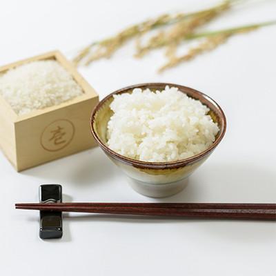 ふるさと納税 上越市 【2ヵ月毎定期便】標高200mで育てた棚田米|中郷産従来種コシヒカリ精米10kg(5kg×2)全6回 |  | 03