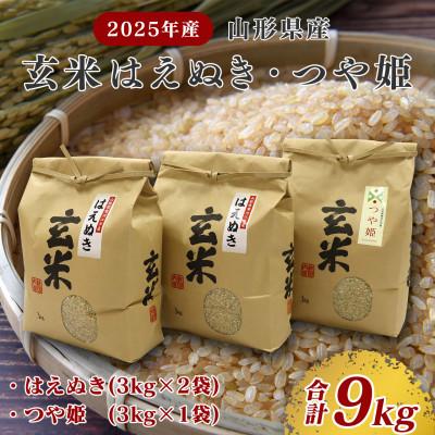 ふるさと納税 寒河江市 【2025年産】山形県産 玄米2種セット 合計9kg【つや姫・はえぬき】