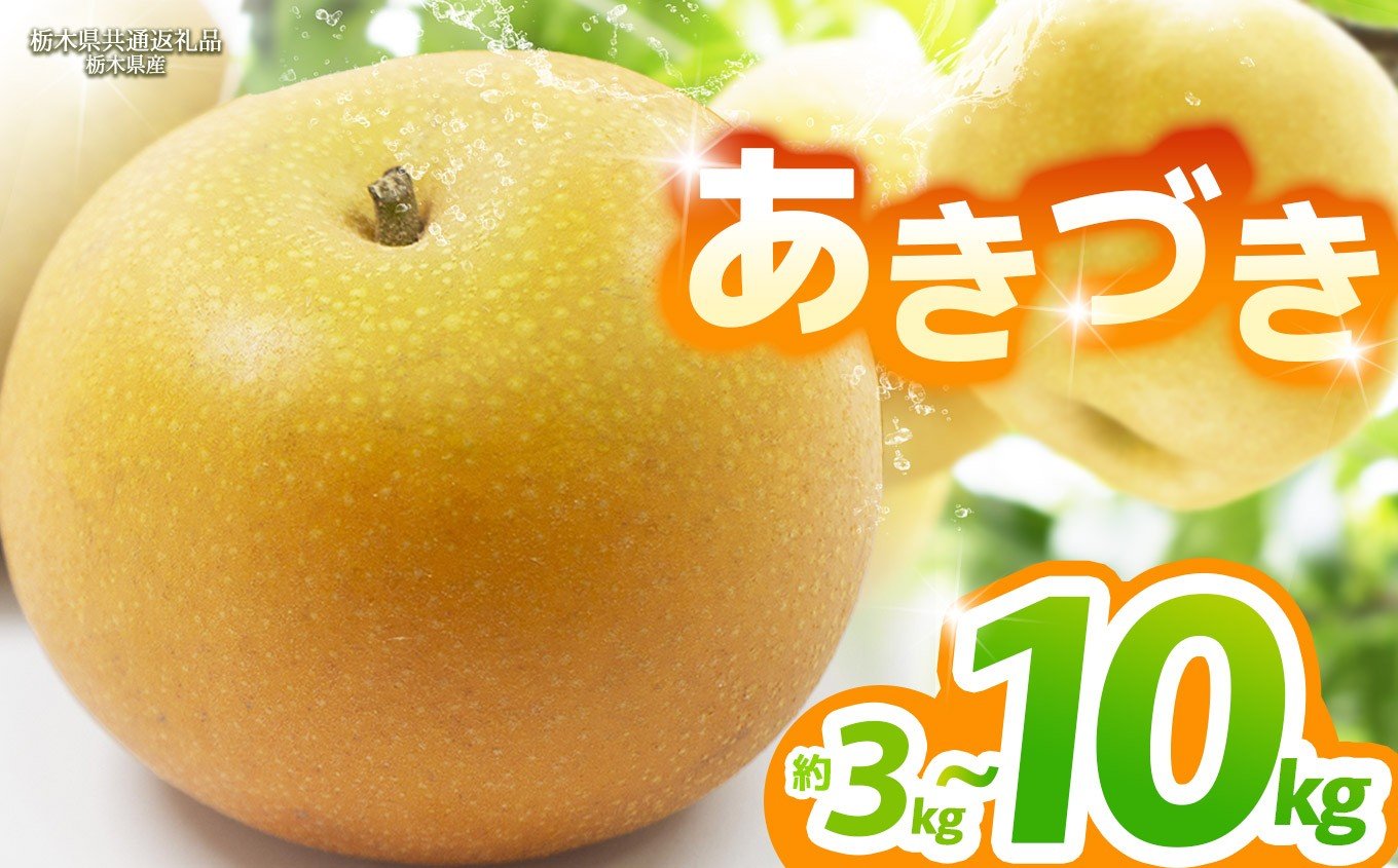 
            【栃木県共通返礼品】【2025年先行予約】【選べるグラム数】あきづき 約3kg 5kg 10kg |あきづき 梨 なし ナシ 新品種 先行予約 大粒 新鮮 甘い 美味しい 果物 くだもの フルーツ ふるーつ 共通返礼品 フルーツ デザート 栃木県 那珂川町
          
