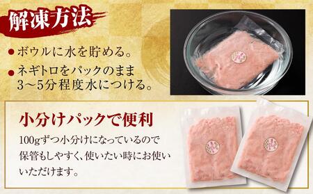 【2回定期便】ネギトロ まぐろたたき 合計2kg