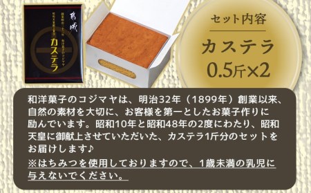 昭和天皇御献上カステラ(1斤分)_LC-7601_(都城市) カステラ カステラ0.5斤×2 都城産鶏卵 お菓子 はちみつ使用 スイーツ セットお土産 贈答用 ギフト