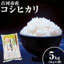 【ふるさと納税】令和6年産 新米 5kg 関東平野で育った古河市産コシヒカリ 5kg (5kg×1袋) | こめ 米 コメ こしひかり 5キロ 古河市産 茨城県産 _DG03 ※北海道・沖縄・離島への配送不可