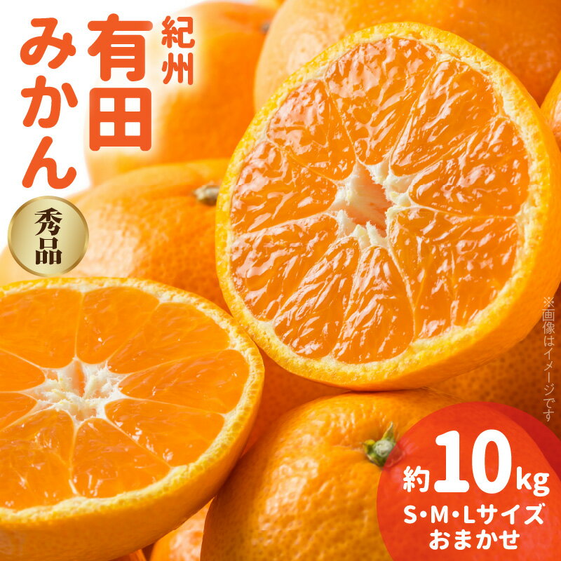 【ふるさと納税】【2025年先行予約】紀州 有田みかん 秀品 約10kg (L・M・Sサイズおまかせ)【ミカン 蜜柑 柑橘 温州みかん 有田みかん】
