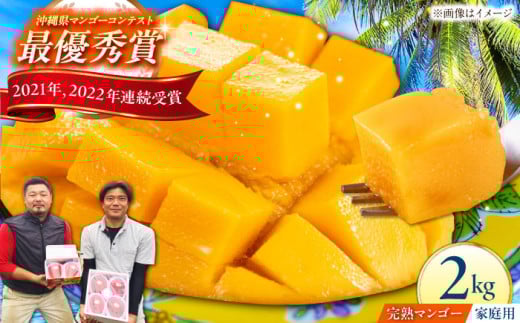 【家庭用】仲村農園の完熟アップルマンゴー 2kg マンゴー 沖縄 果物 フルーツ ギフト 沖縄市 / 仲村農園 [BCCU003]